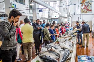 Vela ingrosso commercio prodotti ittici ristorazione vendita al dettaglio pescherie pesce azzurro mar ligure frutti di mare allevamento congelato