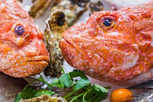Vela ingrosso commercio prodotti ittici ristorazione vendita al dettaglio pescherie pesce azzurro mar ligure frutti di mare allevamento congelato