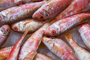 Vela ingrosso commercio prodotti ittici ristorazione vendita al dettaglio pescherie pesce azzurro mar ligure frutti di mare allevamento congelato