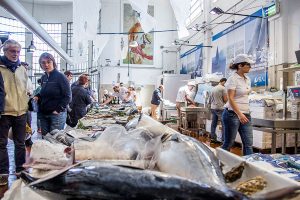 Vela ingrosso commercio prodotti ittici ristorazione vendita al dettaglio pescherie pesce azzurro mar ligure frutti di mare allevamento congelato
