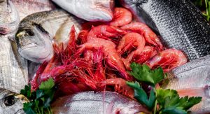 Vela ingrosso commercio prodotti ittici ristorazione vendita al dettaglio pescherie pesce azzurro mar ligure frutti di mare allevamento congelato