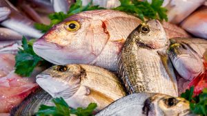 Vela ingrosso commercio prodotti ittici ristorazione vendita al dettaglio pescherie pesce azzurro mar ligure frutti di mare allevamento congelato