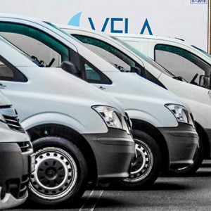 Vela ingrosso commercio prodotti ittici ristorazione vendita al dettaglio pescherie pesce azzurro mar ligure frutti di mare allevamento congelato