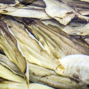 Vela ingrosso commercio prodotti ittici ristorazione vendita al dettaglio pescherie pesce azzurro mar ligure frutti di mare allevamento congelato