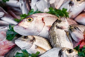 Vela ingrosso commercio prodotti ittici ristorazione vendita al dettaglio pescherie pesce azzurro mar ligure frutti di mare allevamento congelato