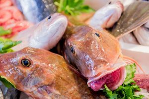 Vela ingrosso commercio prodotti ittici ristorazione vendita al dettaglio pescherie pesce azzurro mar ligure frutti di mare allevamento congelato