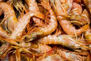 Vela ingrosso commercio prodotti ittici ristorazione vendita al dettaglio pescherie pesce azzurro mar ligure frutti di mare allevamento congelato