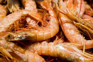 Vela ingrosso commercio prodotti ittici ristorazione vendita al dettaglio pescherie pesce azzurro mar ligure frutti di mare allevamento congelato