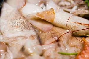 Vela ingrosso commercio prodotti ittici ristorazione vendita al dettaglio pescherie pesce azzurro mar ligure frutti di mare allevamento congelato