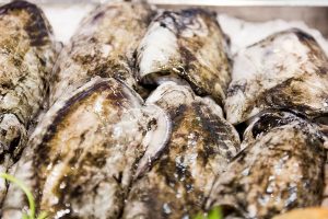 Vela ingrosso commercio prodotti ittici ristorazione vendita al dettaglio pescherie pesce azzurro mar ligure frutti di mare allevamento congelato