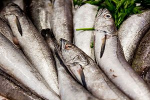 Vela ingrosso commercio prodotti ittici ristorazione vendita al dettaglio pescherie pesce azzurro mar ligure frutti di mare allevamento congelato