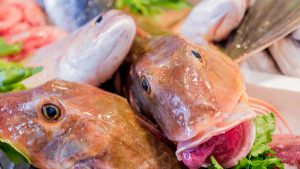 Vela ingrosso commercio prodotti ittici ristorazione vendita al dettaglio pescherie pesce azzurro mar ligure frutti di mare allevamento congelato
