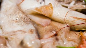 Vela ingrosso commercio prodotti ittici ristorazione vendita al dettaglio pescherie pesce azzurro mar ligure frutti di mare allevamento congelato