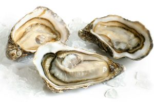 Vela ingrosso commercio prodotti ittici ristorazione vendita al dettaglio pescherie pesce azzurro mar ligure frutti di mare allevamento congelato