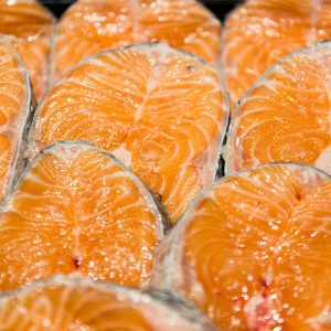 Vela ingrosso commercio prodotti ittici ristorazione vendita al dettaglio pescherie pesce azzurro mar ligure frutti di mare allevamento congelato